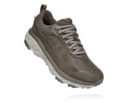 Hoka One One Challenger Low GORE-TEX Turisticke Topanky Damske Hnede / | DU6792458